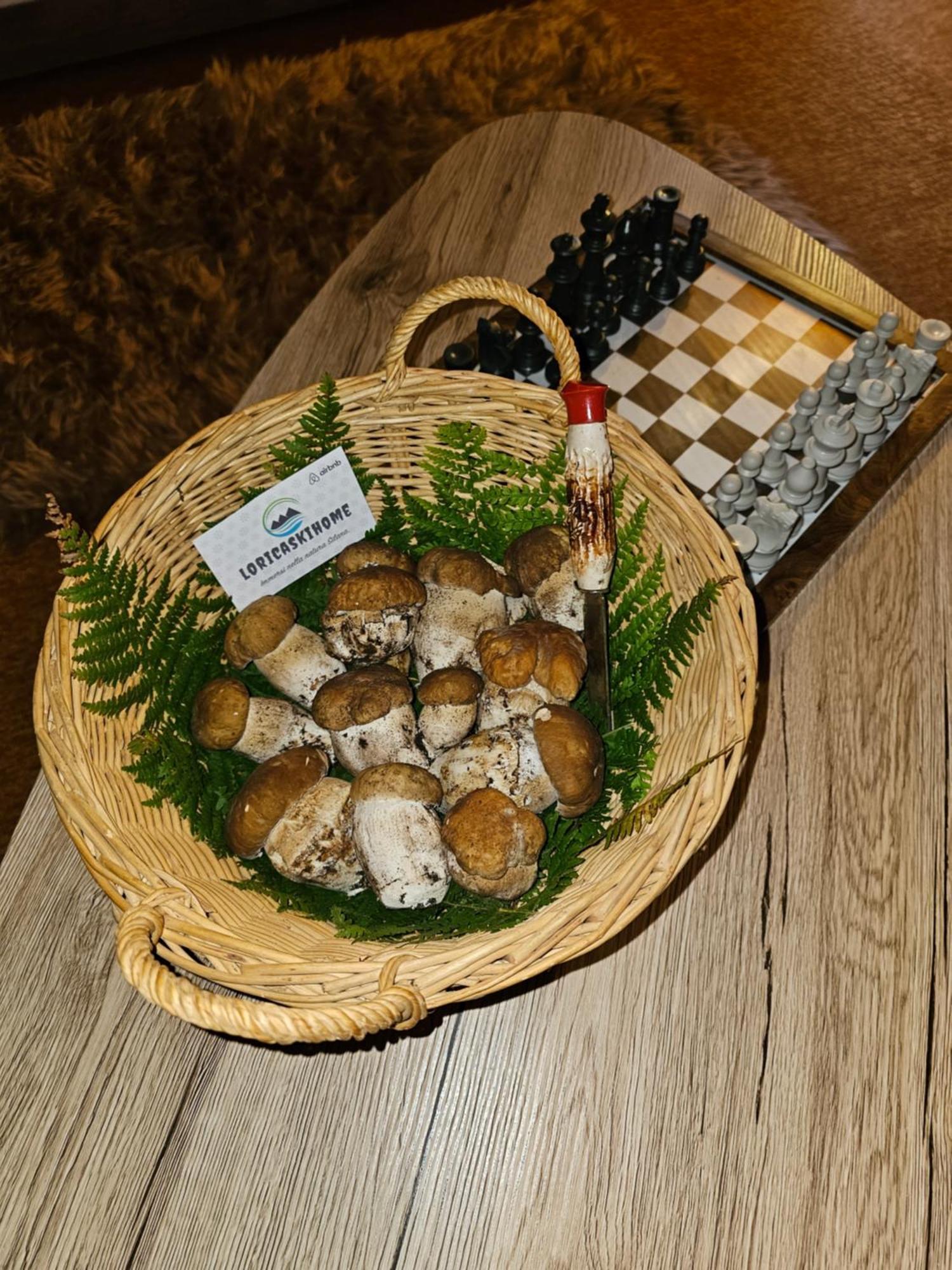 Loricaskihome Екстер'єр фото